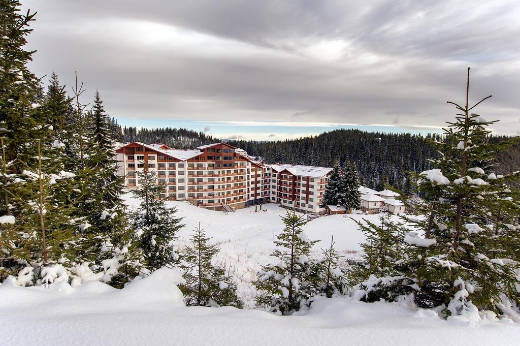 Vacanta la ski in Pamporovo (Bulgaria)-02.01.